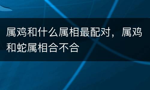 属鸡和什么属相最配对，属鸡和蛇属相合不合