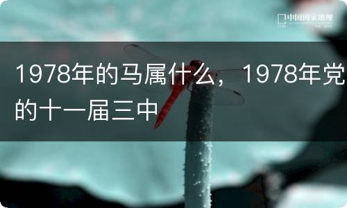 1978年的马属什么，1978年党的十一届三中