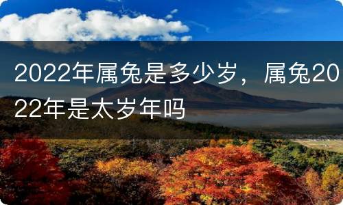 2022年属兔是多少岁，属兔2022年是太岁年吗