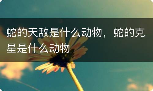 蛇的天敌是什么动物，蛇的克星是什么动物