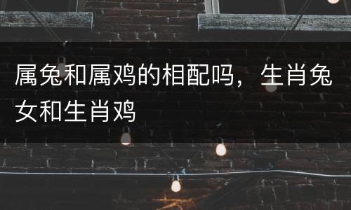 属兔和属鸡的相配吗，生肖兔女和生肖鸡