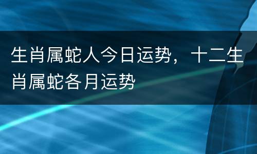 生肖属蛇人今日运势，十二生肖属蛇各月运势
