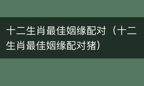 十二生肖最佳姻缘配对（十二生肖最佳姻缘配对猪）