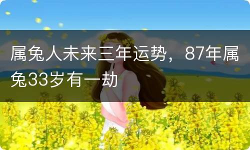 属兔人未来三年运势，87年属兔33岁有一劫