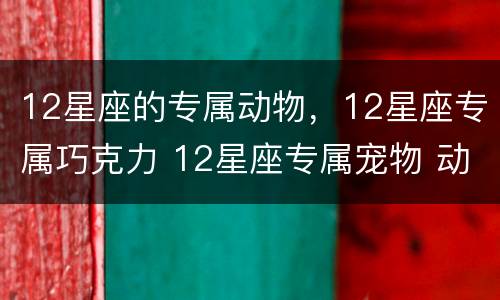 12星座的专属动物，12星座专属巧克力 12星座专属宠物 动物