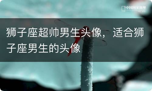 狮子座超帅男生头像，适合狮子座男生的头像