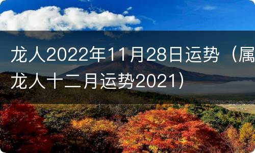 龙人2022年11月28日运势（属龙人十二月运势2021）