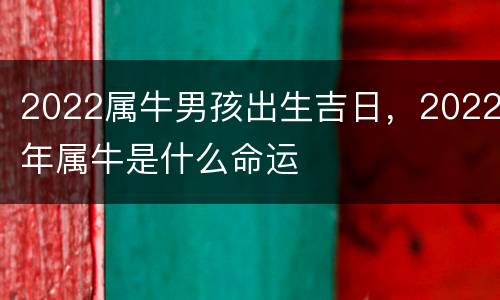 2022属牛男孩出生吉日，2022年属牛是什么命运