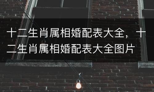 十二生肖属相婚配表大全，十二生肖属相婚配表大全图片