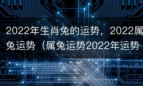2022年生肖兔的运势，2022属兔运势（属兔运势2022年运势详解）