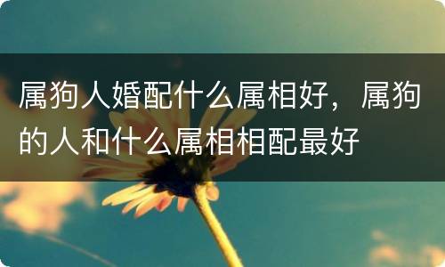 属狗人婚配什么属相好，属狗的人和什么属相相配最好