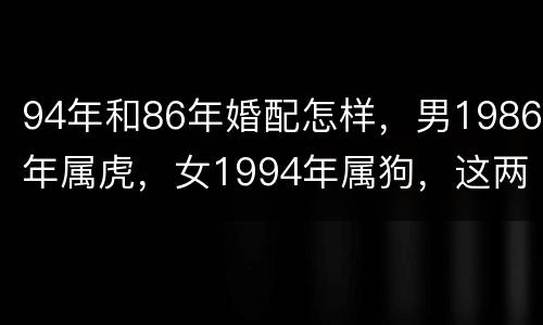 94年和86年婚配怎样，男1986年属虎，女1994年属狗，这两个属相
