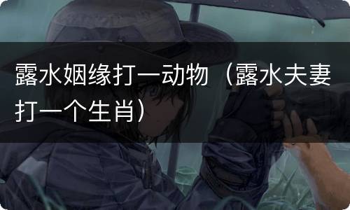 露水姻缘打一动物（露水夫妻打一个生肖）