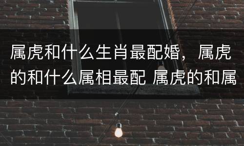 属虎和什么生肖最配婚，属虎的和什么属相最配 属虎的和属马的合适吗