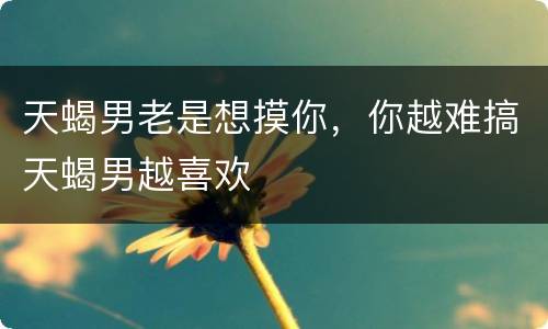 天蝎男老是想摸你，你越难搞天蝎男越喜欢