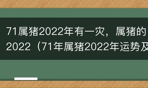 71属猪2022年有一灾，属猪的2022（71年属猪2022年运势及运程）