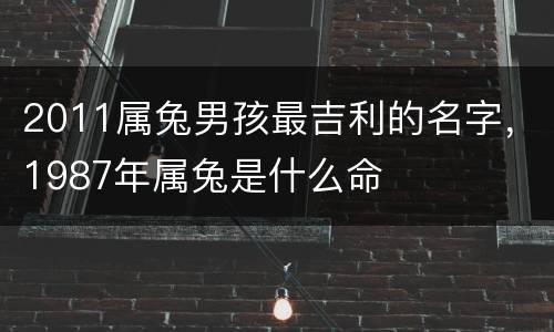 2011属兔男孩最吉利的名字，1987年属兔是什么命