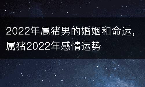 2022年属猪男的婚姻和命运，属猪2022年感情运势