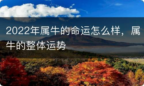 2022年属牛的命运怎么样，属牛的整体运势