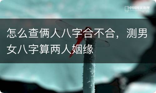 怎么查俩人八字合不合，测男女八字算两人姻缘