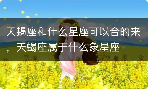 天蝎座和什么星座可以合的来，天蝎座属于什么象星座
