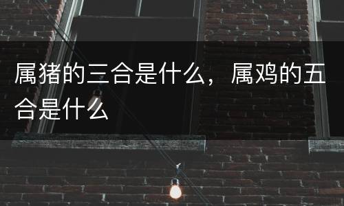 属猪的三合是什么，属鸡的五合是什么