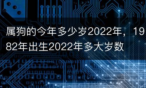属狗的今年多少岁2022年，1982年出生2022年多大岁数