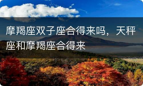摩羯座双子座合得来吗，天秤座和摩羯座合得来