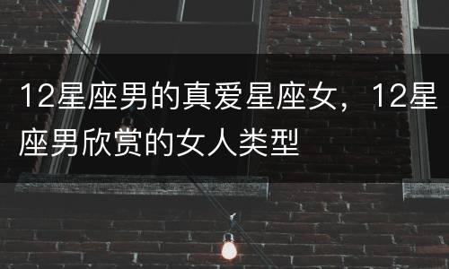 12星座男的真爱星座女，12星座男欣赏的女人类型