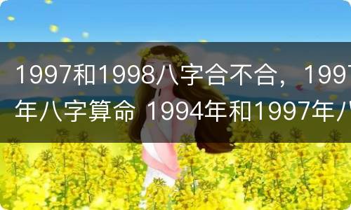 1997和1998八字合不合，1997年八字算命 1994年和1997年八字合吗