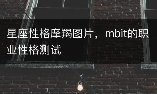 星座性格摩羯图片，mbit的职业性格测试
