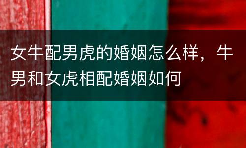 女牛配男虎的婚姻怎么样，牛男和女虎相配婚姻如何