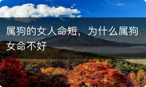 属狗的女人命短，为什么属狗女命不好