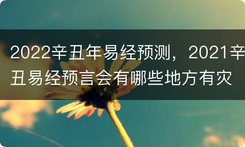 2022辛丑年易经预测，2021辛丑易经预言会有哪些地方有灾难