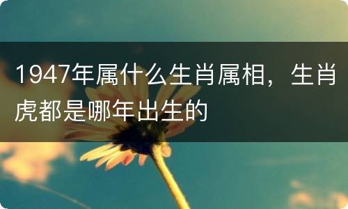 1947年属什么生肖属相，生肖虎都是哪年出生的