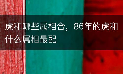 虎和哪些属相合，86年的虎和什么属相最配