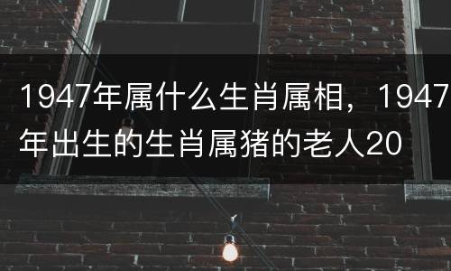1947年属什么生肖属相，1947年出生的生肖属猪的老人20