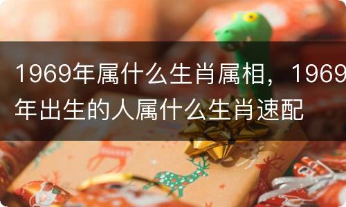 1969年属什么生肖属相，1969年出生的人属什么生肖速配