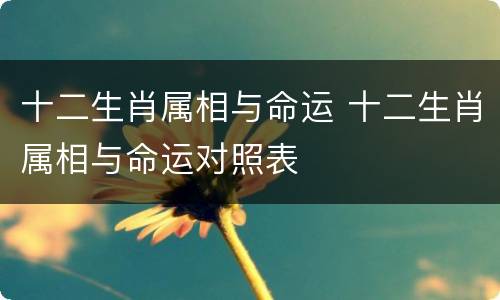 十二生肖属相与命运 十二生肖属相与命运对照表