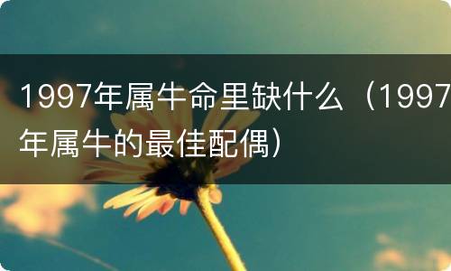 1997年属牛命里缺什么（1997年属牛的最佳配偶）