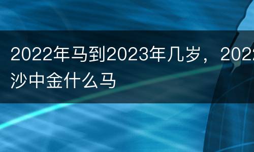 2022年马到2023年几岁，2022沙中金什么马