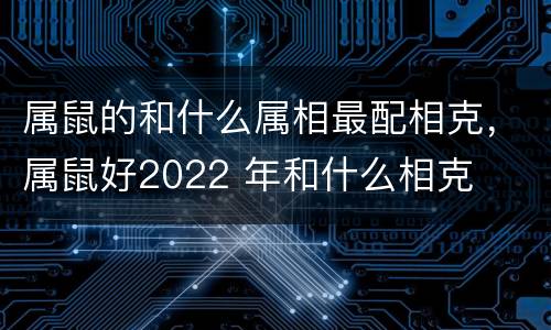 属鼠的和什么属相最配相克，属鼠好2022 年和什么相克