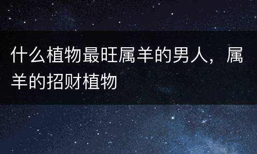 什么植物最旺属羊的男人，属羊的招财植物