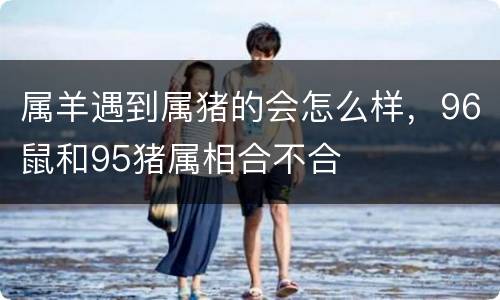 属羊遇到属猪的会怎么样，96鼠和95猪属相合不合