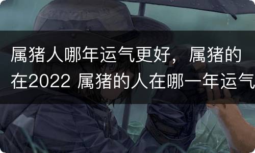 属猪人哪年运气更好，属猪的在2022 属猪的人在哪一年运气好