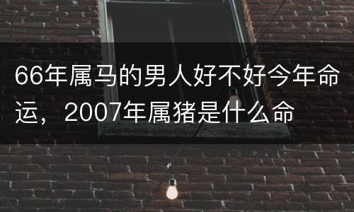 66年属马的男人好不好今年命运，2007年属猪是什么命