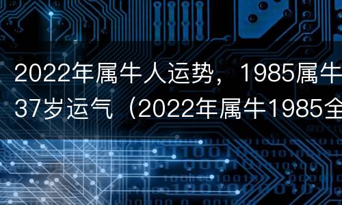 2022年属牛人运势，1985属牛37岁运气（2022年属牛1985全年运势）