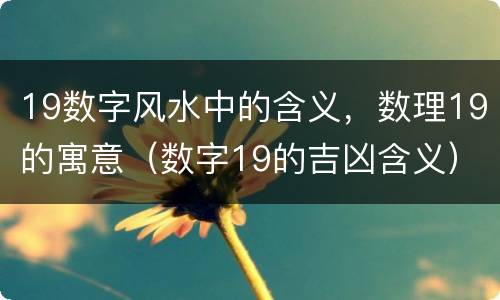 19数字风水中的含义，数理19的寓意（数字19的吉凶含义）