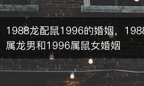 1988龙配鼠1996的婚姻，1988属龙男和1996属鼠女婚姻