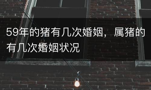 59年的猪有几次婚姻，属猪的有几次婚姻状况
